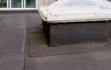 disadvantages of Dromara flat roofs