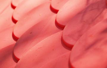 Dromara plastic roof costs