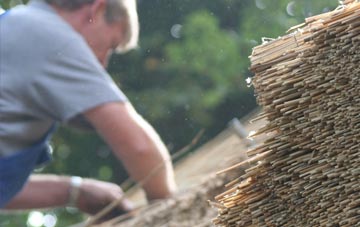 professional Dromara thatchers