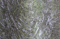 Dromara fibreglass roof work