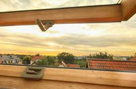 rated Dromara roof window companies